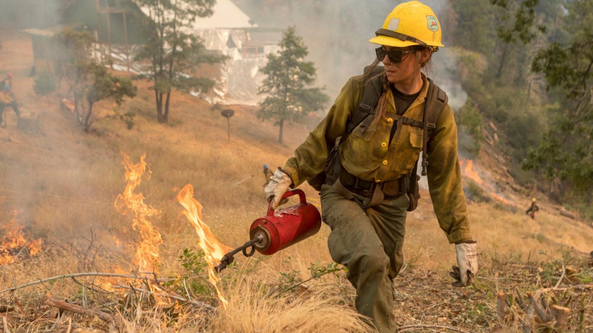 Megafires: Investigating a global threat